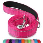 Joytale Köpek tasması, çift taraflı yansıtıcı naylon tasma, dolgulu saplı, büyük orta boy köpekler için, 1,8 m x 2,5 cm, parlak pembe