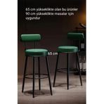 J&S QUALİTY Montaj gerektirmez bar sandalyesi 65 cm oturum yüksekligi