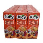 Jucy Şeftali Nektarı 200 ml 27 Li Koli