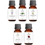JUIWI 5li Bitkisel Set Uçucu Koku Yağı Difüzör Esansı Buhurdanlık Yağı Gül Lavanta Yasemin Niaouli Biberiye 5X10ML