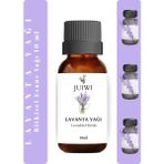 JUIWI Bitkisel Uçucu Koku Yağı Difüzör Esansı Buhurdanlık Yağı Lavanta Uçucu Yağı 10 ml