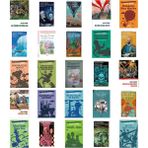 Jules Verne 80 Günde Devrialem +24 Adet Kitap Set - Hayır