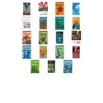 Jules Verne Balonla Beş Hafta +18 Adet Kitap Set