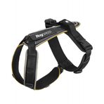 Julius-K9 Y-Kemeri 1-3 Köpek Tasması