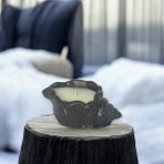 Julzen Home Design Deniz Kabuğu Beton Kiraz Çiçeği Kokulu Soya Mumu - Siyah