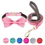 Jumpress Bling Papyon Köpek Tasması ve Tasma Seti, Sevimli Pembe Yavru Köpek Tasması 5 ft Küçük Köpekler için Günlük Yürüyüş veya Tatil Partisi (Boyun 9-12'')