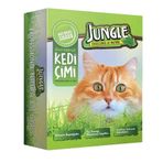 Jungle Fileli Kedi Çimi