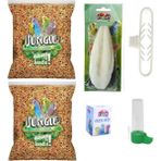 Jungle Muhabbet Kuşu Yemi 500 gr x 2 Adet 2027 Skt Taze Yem + Exovit Kalamar Kemiği 10-12 cm + Kalamar Tutucu + Exovit Gaga Taşı+Suluk Hediyeli