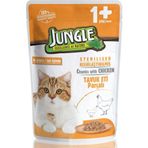 Jungle Pouch Kısırlaştırılmış Gravy Soslu Tavuklu Yaş 24x100 gr Kedi Maması