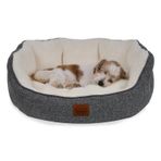 Jungolica Coco Kedi ve Köpek Yatağı Beyaz, Oval Tasarım, Çift Taraflı Yıkanabilir Minder, Ultra Yumuşak, Yükseltilmiş Yan Destek, Kaydırmaz Taban (Small)
