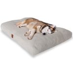 Jungolica Max Köpek Yatağı Ekru – Ultra Yumuşak Peluş Kumaş, Nefes Alabilen Hava Dolaşımı, Sakinleştirici Konfor, Kaydırmaz Taban - Kedi ve Köpek Minderi (Small)