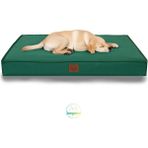 Jungolica Pet Products Eva Garden, %100 Su Geçirmez Alezli, Çıkarılabilir Kılıflı, Tüy ve Leke Tutmaz Kumaşlı Kedi ve Köpek Yatağı - Yeşil - 55 x 75 cm