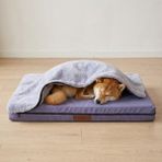 Jungolica Pet Products Pure Comfort, Çıkarılabilir Peluş Battaniyeli, Su Geçirmez Iç Alezli, 4 Mevsim Kedi ve Köpek Yatağı - Gri - 75 x 95 cm