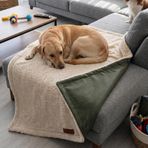 Jungolica Su Geçirmez Çift Taraflı Kedi ve Köpek Battaniyesi - Koltuk & Yatak Koruyucu Örtü, Yumuşak Well-Soft Kumaş, Kolay Temizlenebilir, Ev ve Seyahat Kullanımı (Haki-Krem, Medium 70×100 cm)