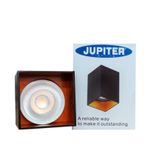 Jüpiter S.ü. Siyah ve Altın Tavan Armatürü JC071SA