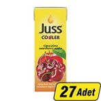 Juss Cooler Elma-Vişne Meyve Suyu 200 Ml 27'Li