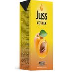 Juss Cooler Meyve Suyu Kayısı 200 ml 27'li