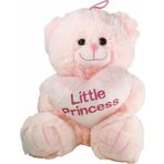 Just Cheap Store Paba501532-25 Peluş Kalpli Ayı 25 Cm -Vardem