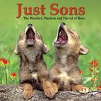 [Just Sons: The Mischief, Mayhem and Marvel of Boys] [By: Sovey, Melissa] [January, 2011]