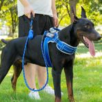 JUSTYEZI Boyun Yastıklı Köpek Yelek Koşum Takımı ve Tasma Seti, Çekme Ayarlanabilir Servis Evcil Hayvan Koşum Takımı 8 Köpek Yaması ile, Eğitimde Yansıtıcı Kolay Kontrol Evcil Hayvan Yeleği, Küçük, Orta ve