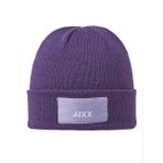 Jxbasic Logo Beanie Acc Sn Kadın Mor Bere - 12205033