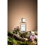 K012chl Love Edp 50ml Kadın Parfüm 342800000012