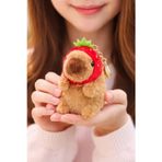 Kabibara Peluş Oyuncak Anahtarlık MODEL 2 - 10 CM