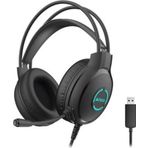 Kablolu Siyah Neon Usb Mikrofonlu Kulaklık Fh-300U