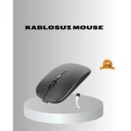 Kablosuz Mouse – Ayarlanabilir, Ergonomik