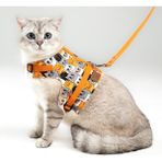 Kaçış Önleyici Kedi Gezdirme Tasması ve Küçük Irk Köpek Gezdirme Tasması - Turuncu - XS