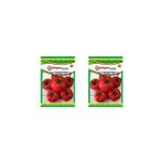 Kademgiller 2121 Domates Tohumu 2 Paket