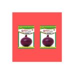 Kademgiller Mor Soğan Tohumu 2 Paket