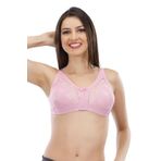 Kadın Dantel Detaylı Büyük Beden Toparlayıcı Sütyen, 100, LZ543-19804IGP27190073