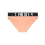 Kadın Mavi Bikini Altı