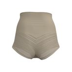 Kadın Micro Touch Lace Bref Ten Slip Külot 1772 TEN
