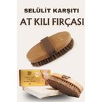 Kadın Sıkılaşma Hücre Yenilenmeye Yardımcı Seülit Karşıtı Doğal At Kılı Fırçası