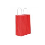 Kağıt Hediye Çantası Düz Renk Büyük Boy 25X31 CM (25 Adet) Kırmızı