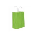 Kağıt Hediye Çantası Küçük Boy Düz Renk 18X24 Cm (25 Adet) Fıstık Yeşili