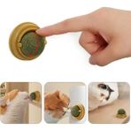 Kaia Life Duvara Yapışan Dönen Kedi Nanesi Cat Oyun Topu Doğal Kedi Oyuncağı