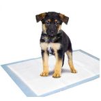 Kaixin Small 33x45 cm 100 Adet Köpek Tuvalet Çiş Eğitim Pedi