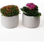 Kaju Creative 2'li Dekoratif Küçük Beton Saksı - Çiçek Desenli - Beyaz - 10x8 CM 0,25 L