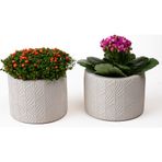 Kaju Creative 2'li Dekoratif Küçük Beton Saksı - Yaprak Desenli - Beyaz - 10x8 CM 0,25 L