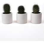 Kaju Creative 3'lü Mini Sukulent Saksısı - Dekoratif Beton Saksı - Beyaz - 7X7 cm