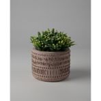 Kaju Creative Dekoratif Beton Saksı -Aztec 7,5x10 0.25L Küçük Boy Saksı