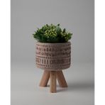 Kaju Creative Dekoratif Beton Saksı -Aztec 7,5x12 0.25L Küçük Ahşap Ayaklı Saksı