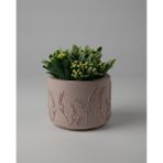 Kaju Creative Dekoratif Beton Saksı -Buğday 7,5x10 0.25L Küçük Boy Saksı
