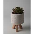 Kaju Creative Dekoratif Beton Saksı - Karo Çizgi - Ahşap Ayaklı