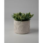 Kaju Creative Dekoratif Beton Saksı -Monstera 7,5x10 0.25L Küçük Boy Saksı