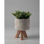 Kaju Creative Dekoratif Beton Saksı -Monstera 7,5x12 0.25L Küçük Ahşap Ayaklı Saksı