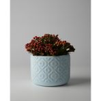 Kaju Creative Dekoratif Beton Saksı - Otantik Çiçek 8x10 0.25L Küçük Boy Saksı